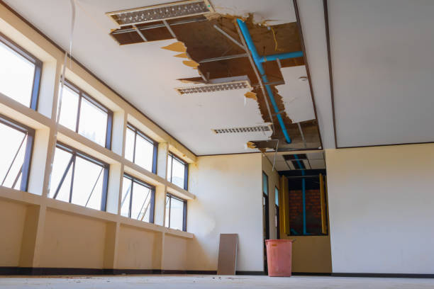 Best Water damage restoration near me  in Hughestown, PA