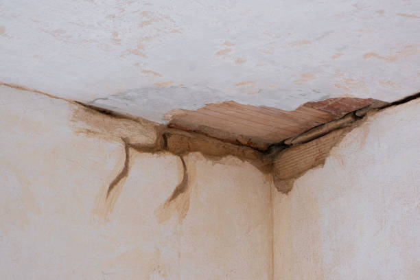 Best Flood restoration services  in Hughestown, PA