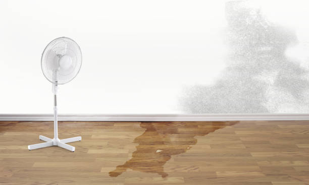 Best Flood damage cleanup  in Hughestown, PA
