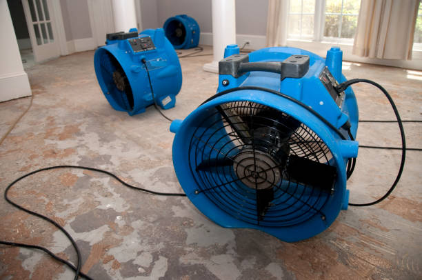 Best Carpet water damage restoration  in Hughestown, PA