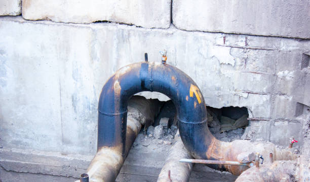 Best Water damage restoration mold remediation  in Hughestown, PA