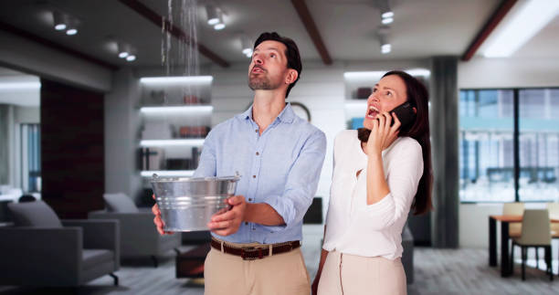 Best Water damage restoration specialists  in Hughestown, PA