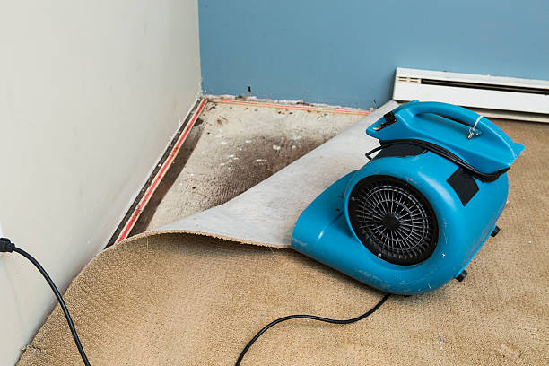 Best Fire Damage Restoration  in Hughestown, PA